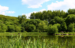 PHP模拟OSS做图片异步处理